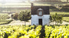 The New France