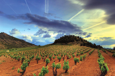 Spain & Portugal: Classic Wines