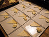 14 Wines, 7 Cheeses, 1 Night